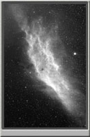 California Nebula